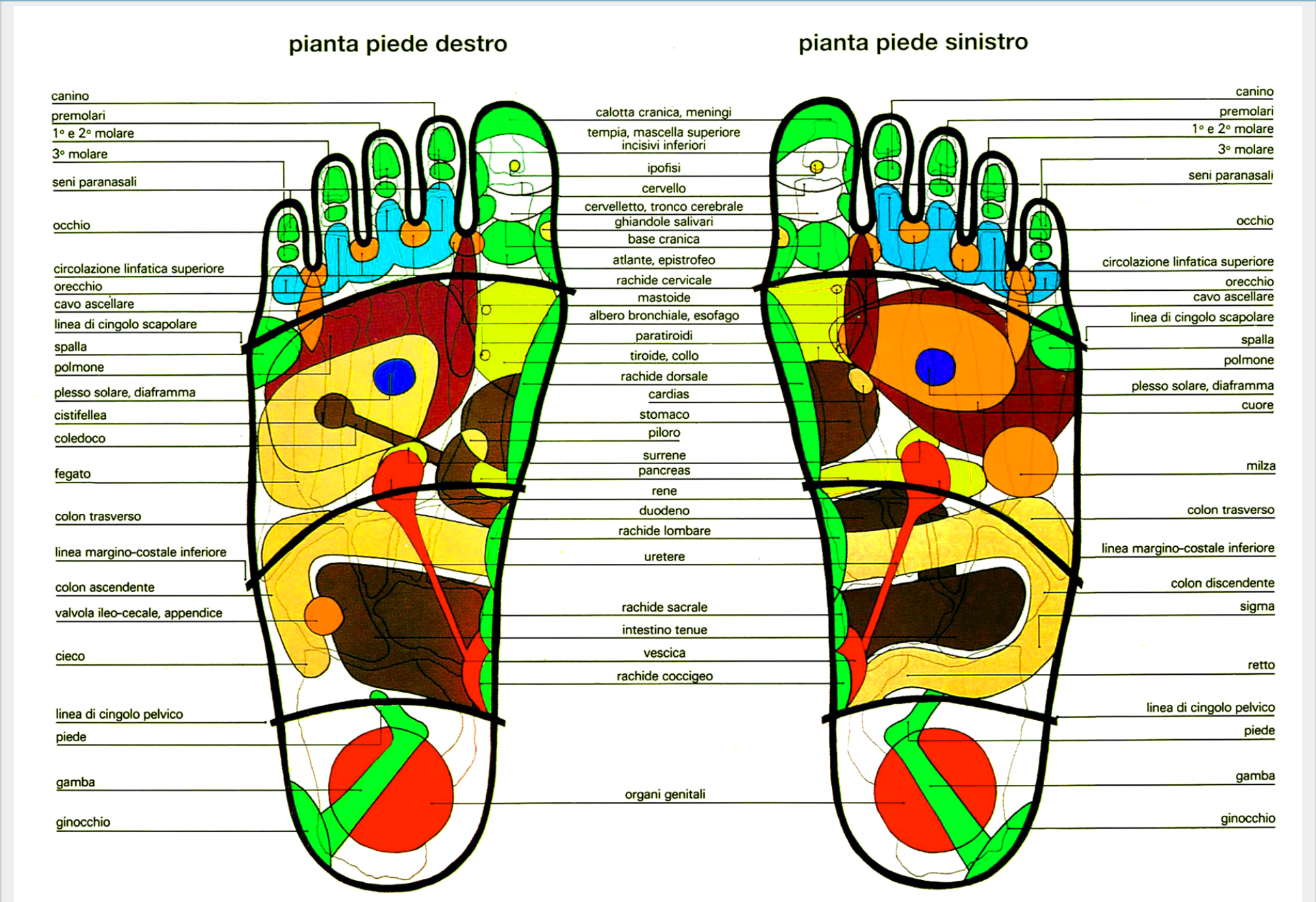massaggio ai piedi riflessologia plantare centro san martino vergiate varese