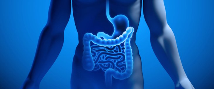 Gastroenterologia Vergiate Varese