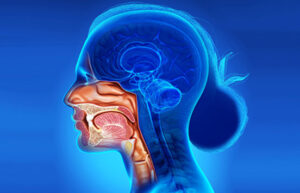 Chirurgia Oncologica Cervico-Facciale